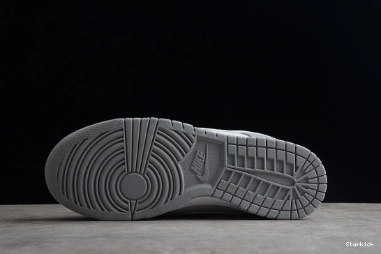 DJ6188-001 Low Two Dunk Tone Grey NNike 0124